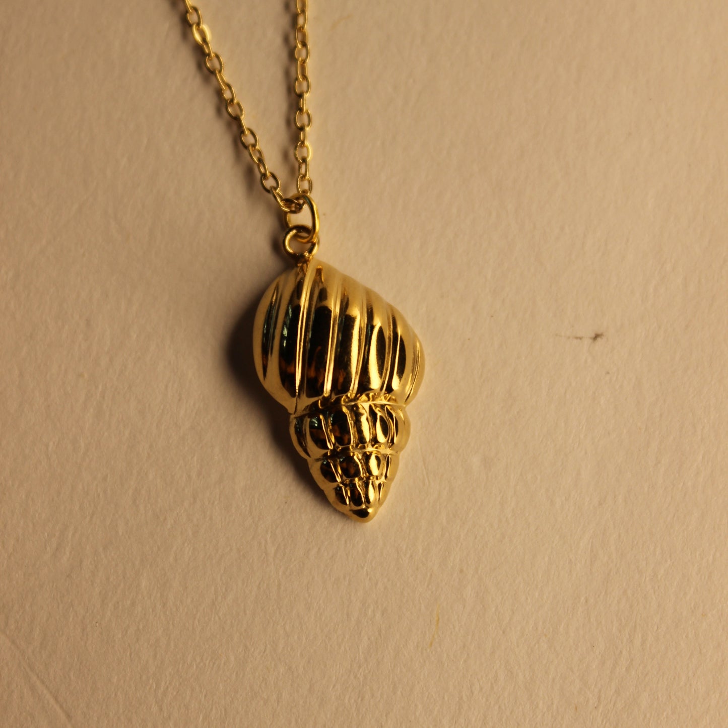 Coquille Necklace