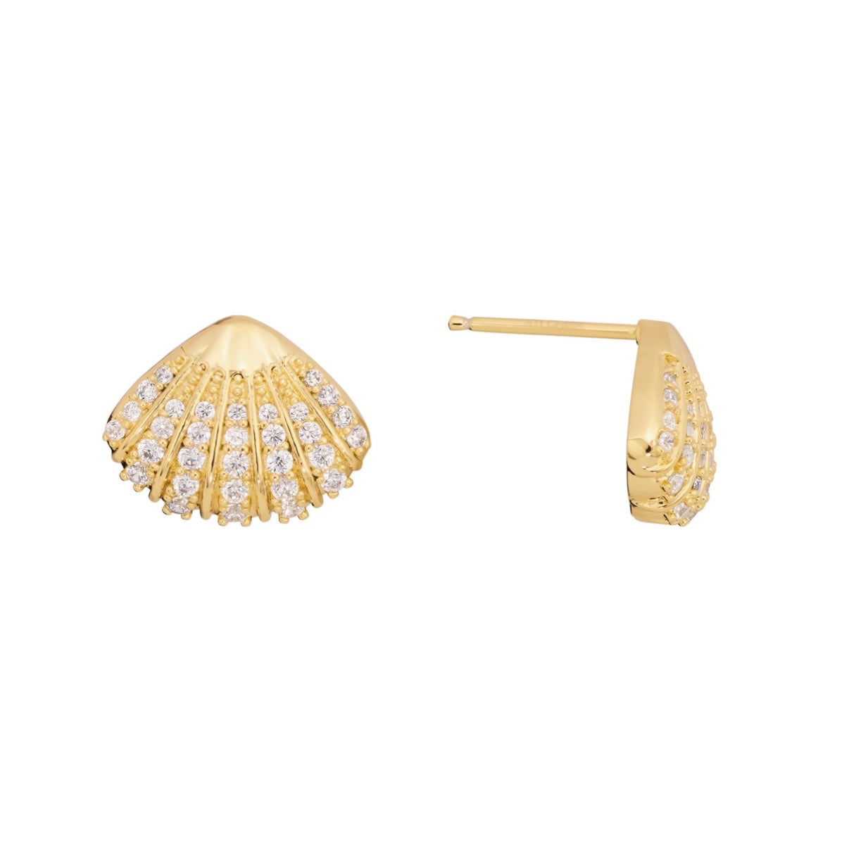 Scallop shell stud