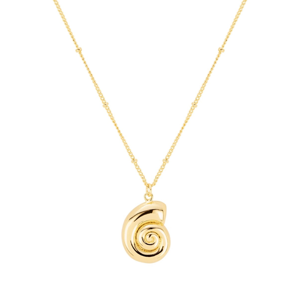 Scallop shell necklace