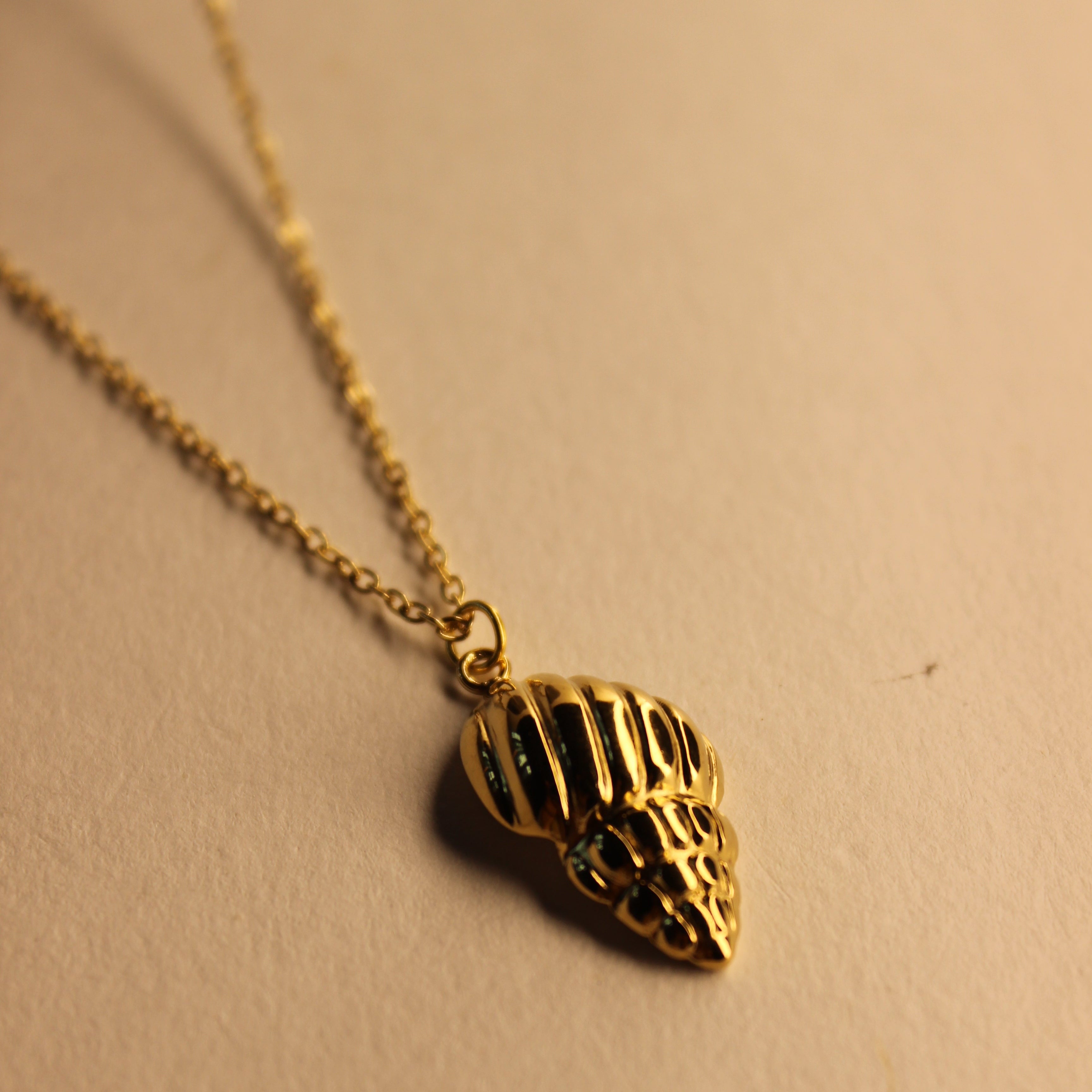 Coquille Necklace