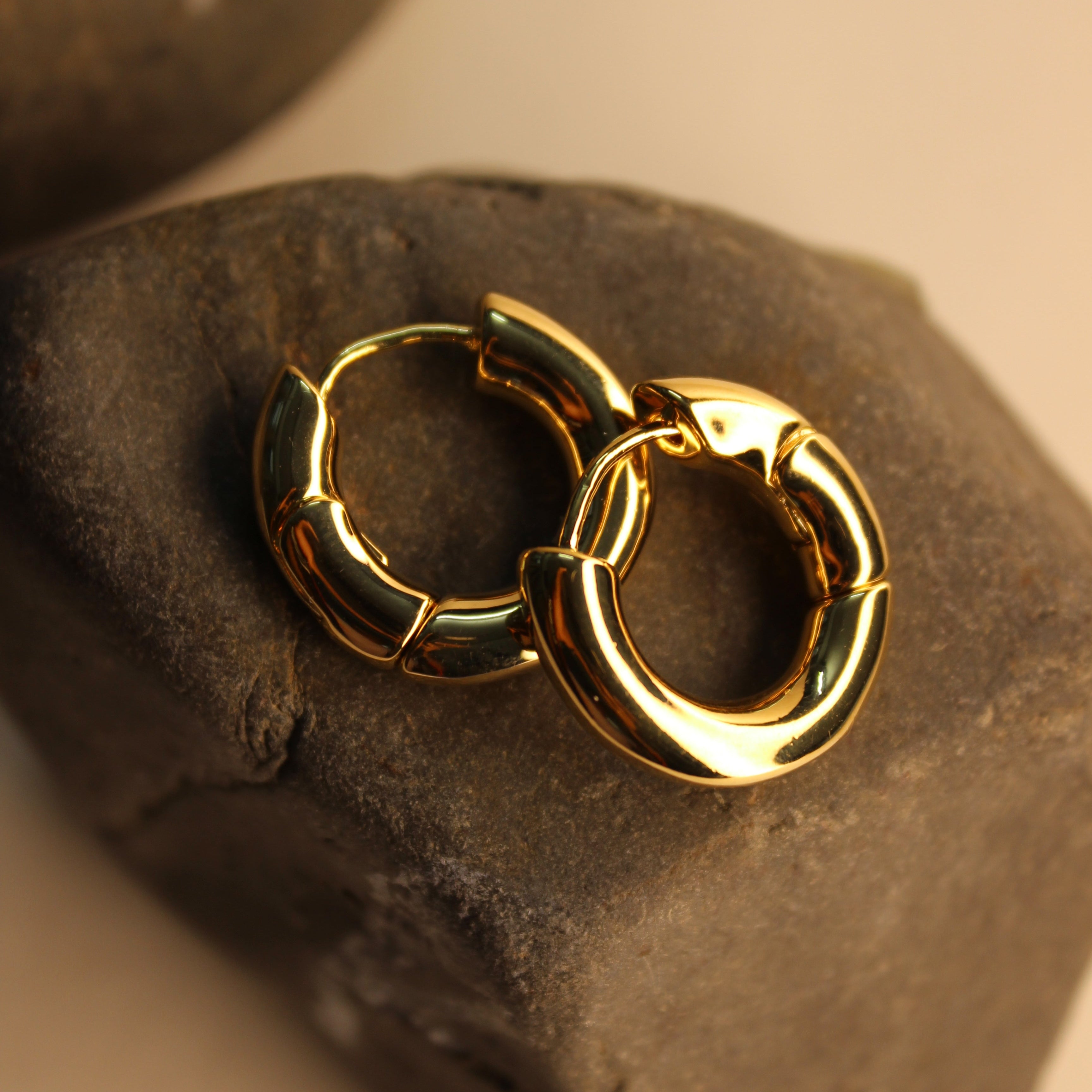 Solena Hoop Earrings