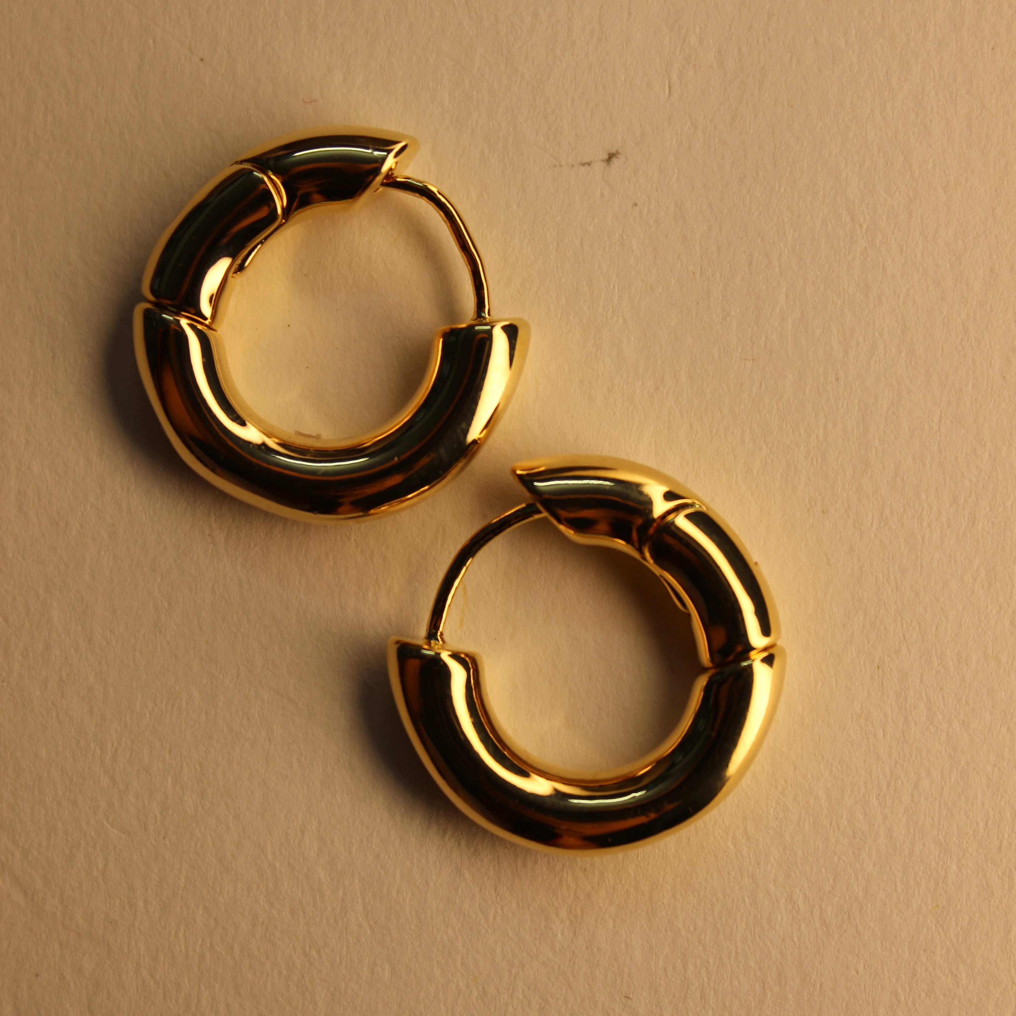 Solena Hoop Earrings